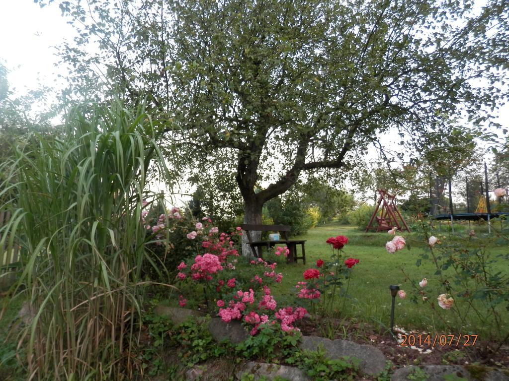 Zagroda Agroturystyczna Wiecha Mieroszow Luaran gambar